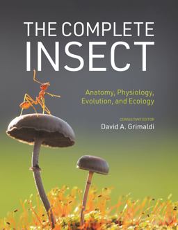 Complete Insect Anatomy, Physiology, Evolution, and Ecology  9780691243108 Front Cover