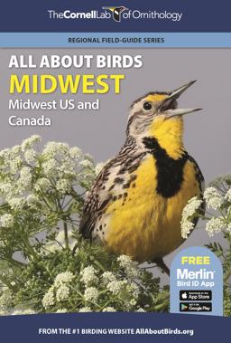 All about Birds Midwest Midwest US and Canada  9780691990002 Front Cover