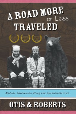 Road More or Less Traveled