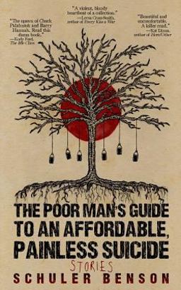 The Poor Man's Guide to an Affordable, Painless Suicide