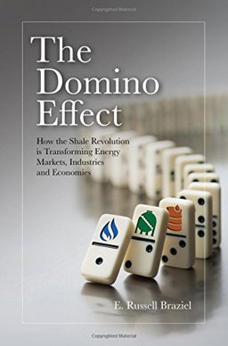 Domino Effect  9780692503010 Front Cover