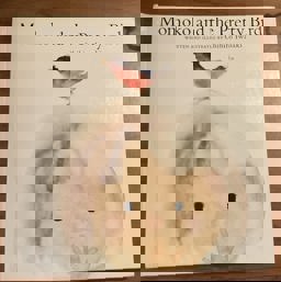 Momoko and the Pretty Bird