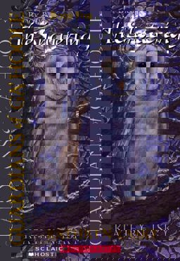 The Princess and the Pirates The Princess and the Pirates