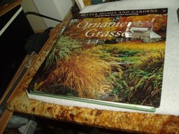 Step-by-Step Successful Ornaments Step-by-Step Successful Ornaments