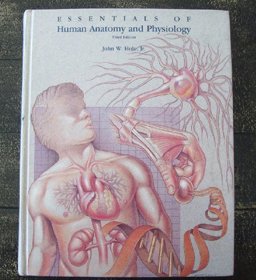 Essentials of Human Anatomy and Physiology Essentials of Human Anatomy and Physiology