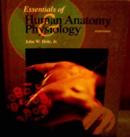Essentials of Human Anatomy and Physiology Essentials of Human Anatomy and Physiology
