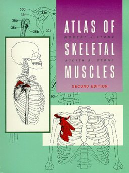 Atlas of the Skeletal Muscles 2nd 9780697137906 Front Cover