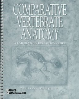 Comparative Vertebrate Morphology
