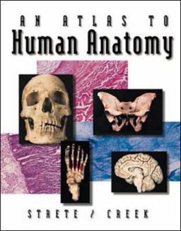Atlas to Human Anatomy by Strete/Creek 6th 9780697387936 Front Cover