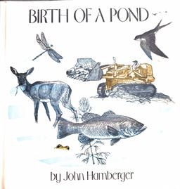 The Birth of a Pond
