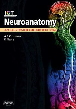 Neuroanatomy An Illustrated Colour Text 4th 9780702030864 Front Cover