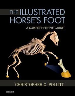 Illustrated Horse's Foot A Comprehensive Guide  9780702046551 Front Cover
