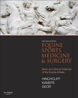 Equine Sports Medicine and Surgery Basic and Clinical Sciences of the Equine Athlete 2nd 9780702047718 Front Cover