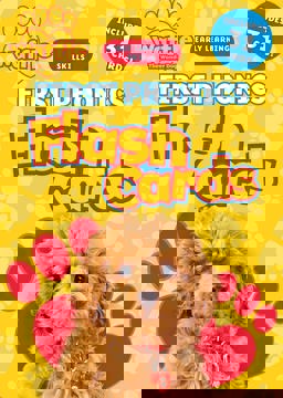 First Phonics Flash Cards