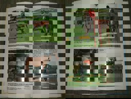 Practical Showjumping