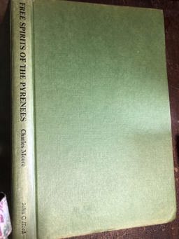 Free Spirits of the Pyrenees