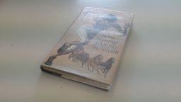 Naked Runner Naked Runner