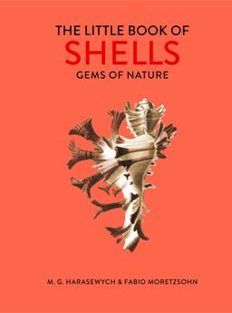 Little Book of Shells Gems of Nature  9780711252691 Front Cover