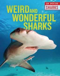 Weird and Wonderful Sharks