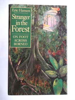 Stranger in the Forest