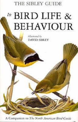 Sibley Guide to Birdlife and Behaviou