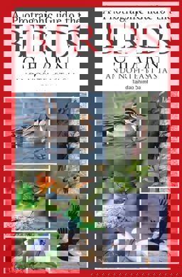 A Photographic Guide to the Birds of Japan and North-East Asia (Photographic Guide)  9780713674392 Front Cover