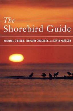 Shorebird Guide