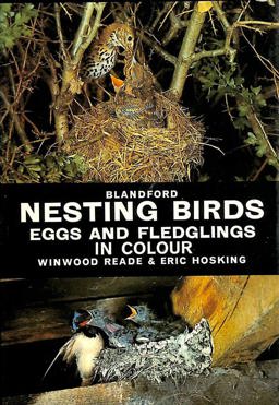 Nesting Birds, Eggs and Fledglings in Color
