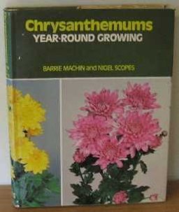 Chrysanthemums