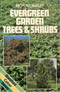 Evergreen Garden Trees and Shrubs