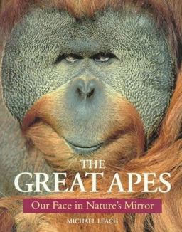 Great Apes
