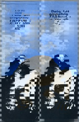 The Mirror of the Giant