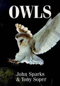 Owls