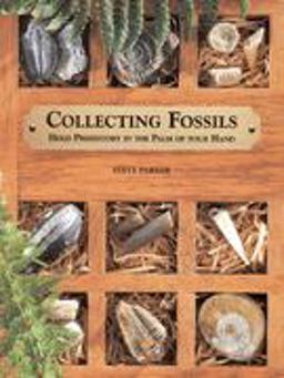 Collecting Fossils