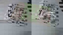 In Celebration of Cats