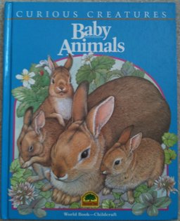 Baby Animals