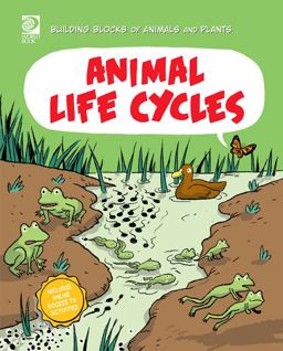 Animal Life Cycles