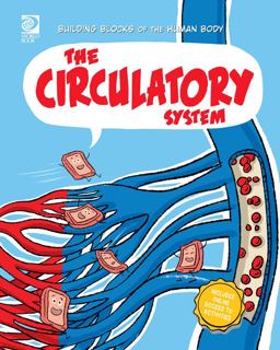 The Circulatory System