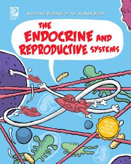 The Endocrine and Reproductive Systems