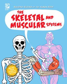 The Skeletal and Muscular Systems