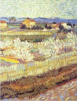 Biology of Plants 7th 9780716710073 Front Cover