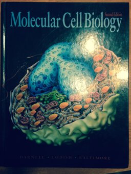 Molecular Cell Biology 2nd 9780716719816 Front Cover