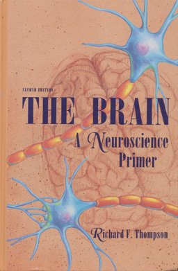 The Brain