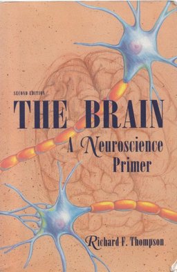 The Brain