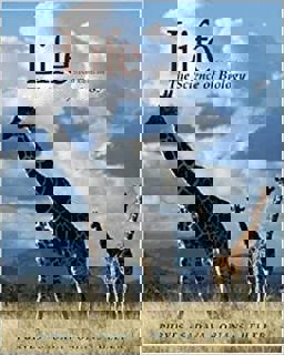 Life Custom Course Notes