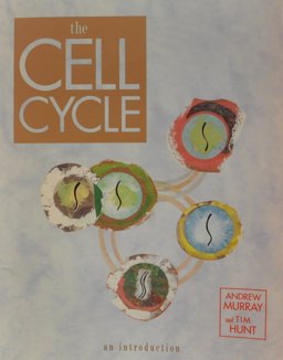 The Cell Cycle