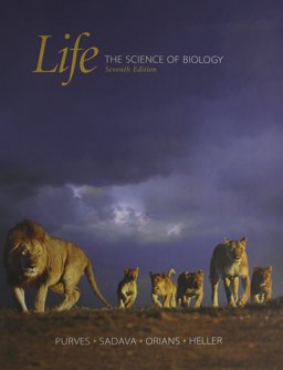 Life, CD-ROM and I-Clicker