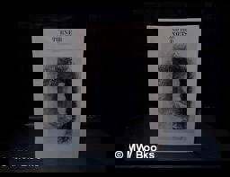 Turner and the Poets