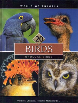 Animal Fact Files Birds