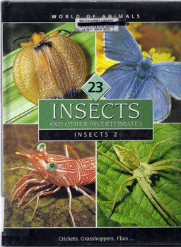 Insects and Other Invertebrates